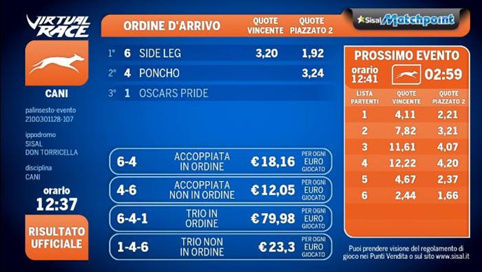 scommesse-cani-virtuali