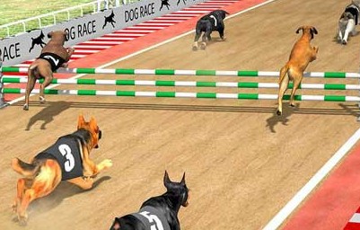 come vincere corse cani virtuali
