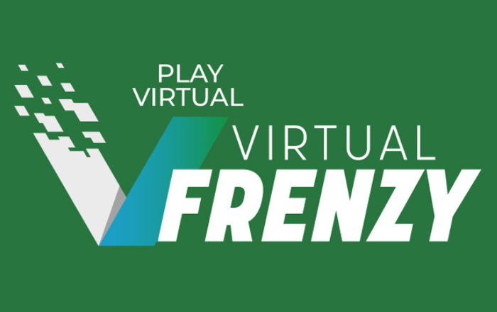 Virtual Frenzy Snai